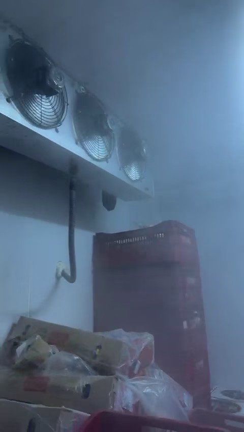 ecp camara fria congelados